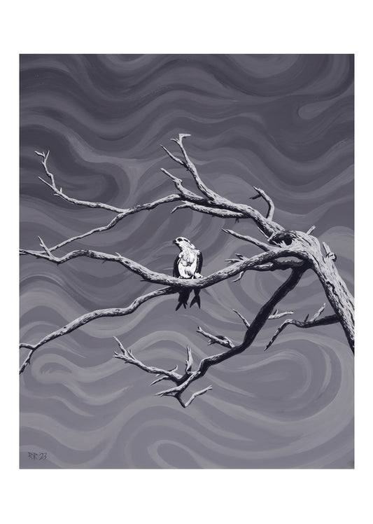 "Osprey and Fish" print